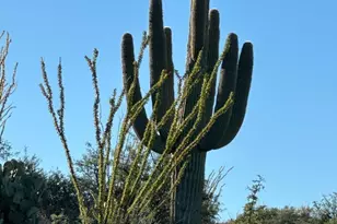 8491 S Pistol Hill Rd, Vail, AZ 85641 - Photo 45