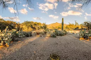 7330 N Michelle Pl, Tucson, AZ 85704 - Photo 5