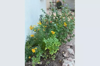 1419 E Linden Street, Tucson, AZ 85719 - Photo 17