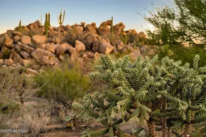 1484 Tortolita Mountain Circle #294, Oro Valley, AZ 85755 - Photo 19