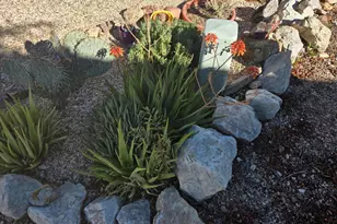 5541 W Lazy S St, Tucson, AZ 85713 - Photo 33