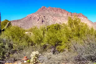 2440 S Double O Pl, Tucson, AZ 85713 - Photo 43