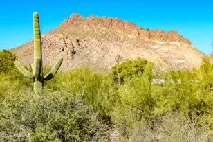 2440 S Double O Pl, Tucson, AZ 85713 - Photo 47