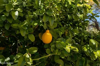 832 E Vault Mine Court, Green Valley, AZ 85614 - Photo 29