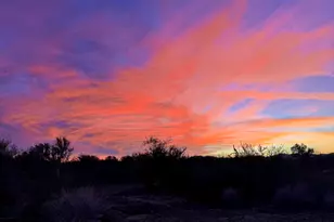 10625 S Cherokee Ln, Tucson, AZ 85736 - Photo 17