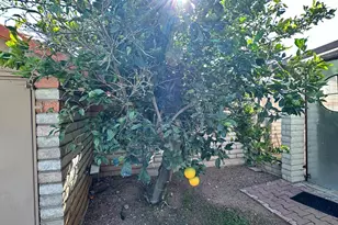 7525 S Avenida De Belleza, Tucson, AZ 85747 - Photo 7