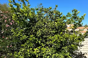 7525 S Avenida De Belleza, Tucson, AZ 85747 - Photo 13