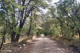 13223 E Turkey Creek Rd, Pearce, AZ 85625 - Photo 39