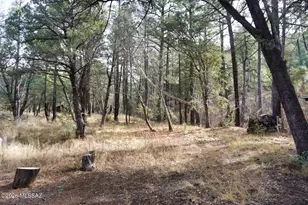 13223 E Turkey Creek Rd, Pearce, AZ 85625 - Photo 45