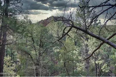 13223 E Turkey Creek Road, Pearce, AZ 85625 - Photo 9