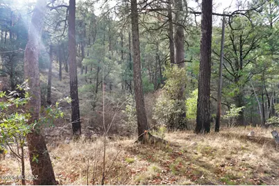 13223 E Turkey Creek Road, Pearce, AZ 85625 - Photo 47