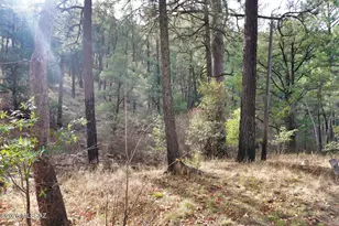 13223 E Turkey Creek Rd, Pearce, AZ 85625 - Photo 47