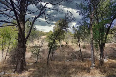 13223 E Turkey Creek Road, Pearce, AZ 85625 - Photo 11