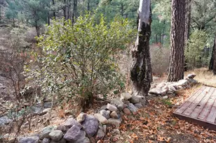 13223 E Turkey Creek Rd, Pearce, AZ 85625 - Photo 13