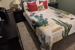 12123 S Creosote Valley Rd, Vail, AZ 85641 - Photo 33