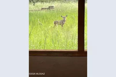 6828 E Diamondback Road, Saint David, AZ 85630 - Photo 11