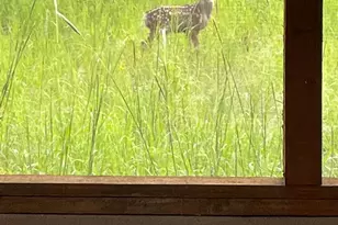 6828 E Diamondback Rd, Saint David, AZ 85630 - Photo 11