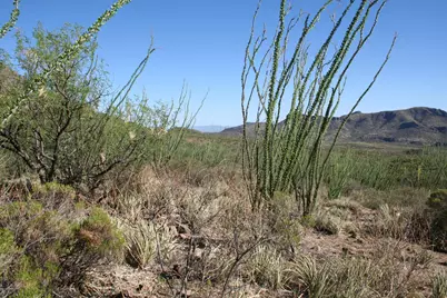 37 Copper Canyon Road #140, Tumacacori, AZ 85640 - Photo 7