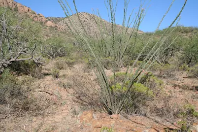 37 Copper Canyon Road #140, Tumacacori, AZ 85640 - Photo 17