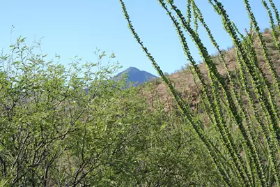 37 Copper Canyon Road #140, Tumacacori, AZ 85640 - Photo 9