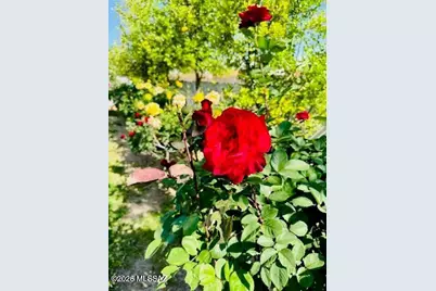 7122 E Eastland Street, Tucson, AZ 85710 - Photo 35