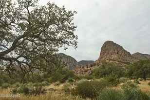 3795 N Owls Butte Trail, Portal, AZ 85632 - Photo 45