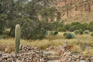 3795 N Owls Butte Trail, Portal, AZ 85632 - Photo 39