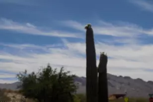 10601 N Camino Rosas Nuevas, Tucson, AZ 85737 - Photo 23