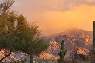 15142 N Rugged Lark Dr, Tucson, AZ 85739 - Photo 3