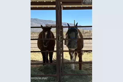 2305 N El Camino Rinconado, Tucson, AZ 85749 - Photo 27