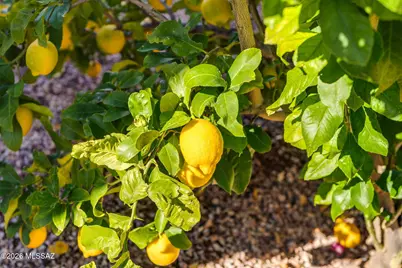 10233 E Encinas Trail, Tucson, AZ 85747 - Photo 35