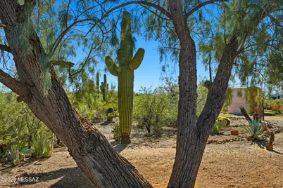 2848 S Desert Rose Drive, Tucson, AZ 85735 - Photo 47