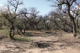 3236 N Cascabel Rd, Benson, AZ 85602 - Photo 13