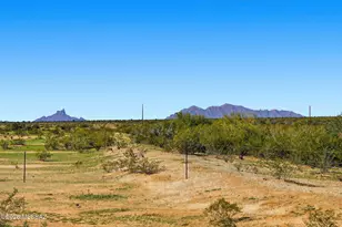 14376 N Bannerstone Ct, Marana, AZ 85658 - Photo 39