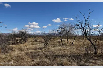 7.54 Ac Catclaw Road #10, Pearce, AZ 85625 - Photo 11