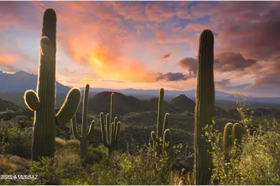 14460 Old Ranch Rd #1, Marana, AZ 85658 - Photo 17