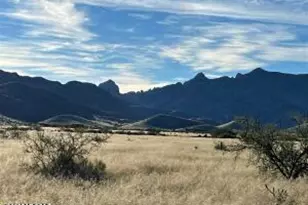 Tbd Newland St Vacant Parcel, Pearce, AZ 85625 - Photo 1