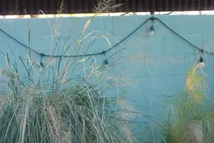 825 S Osborne Ave, Tucson, AZ 85701 - Photo 23