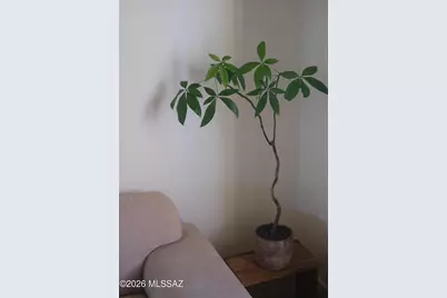 825 S Osborne Avenue, Tucson, AZ 85701 - Photo 29