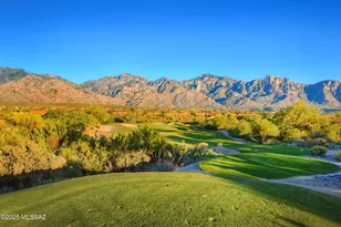 14028 N Willow Bend Dr, Oro Valley, AZ 85755 - Photo 41