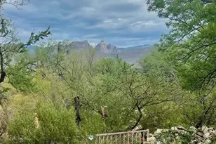 4001 N Harrison Rd, Tucson, AZ 85749 - Photo 41