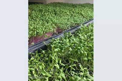 11640&amp;50 Lava Peak Road, Vail, AZ 85641 - Photo 7