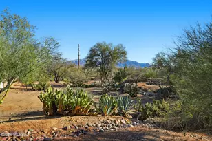 933 W Placita Llovizna, Green Valley, AZ 85614 - Photo 5