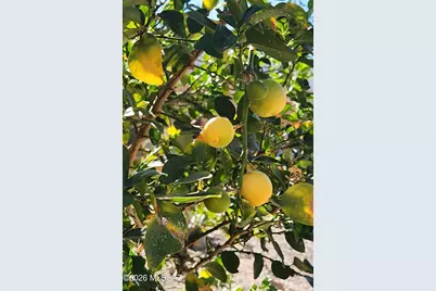 325 S Avenue A, San Manuel, AZ 85631 - Photo 29