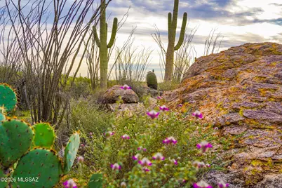 12650 Roger Road #8, Tucson, AZ 85749 - Photo 5