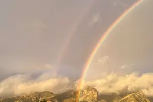 6651 N Campbell Ave, Tucson, AZ 85718 - Photo 37