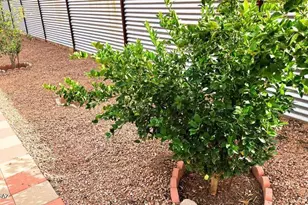 5841 S Herpa Dr, Tucson, AZ 85706 - Photo 7