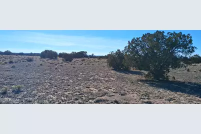 38 Acres 24 County Rd N6578 #857, Saint Johns, AZ 85936 - Photo 17