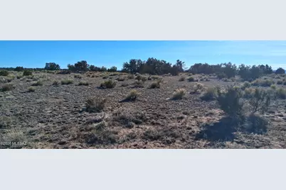38 Acres 24 County Rd N6578 #857, Saint Johns, AZ 85936 - Photo 5