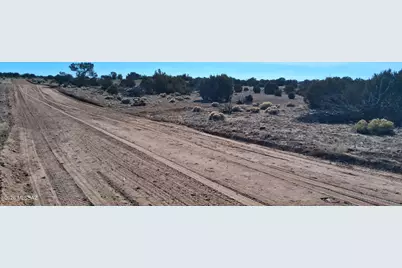 38 Acres 24 County Rd N6578 #857, Saint Johns, AZ 85936 - Photo 15